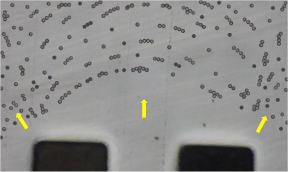 10μm聚苯乙烯微球在0.1mMPBS溶液中的介電響應 10μm聚苯乙烯微球在0.1mMPBS溶液中的介電響應