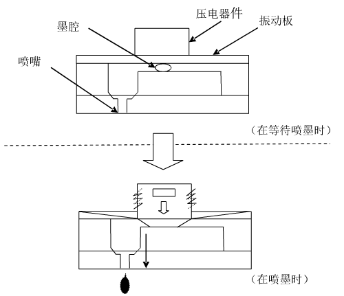 電壓放大器 電壓放大器
