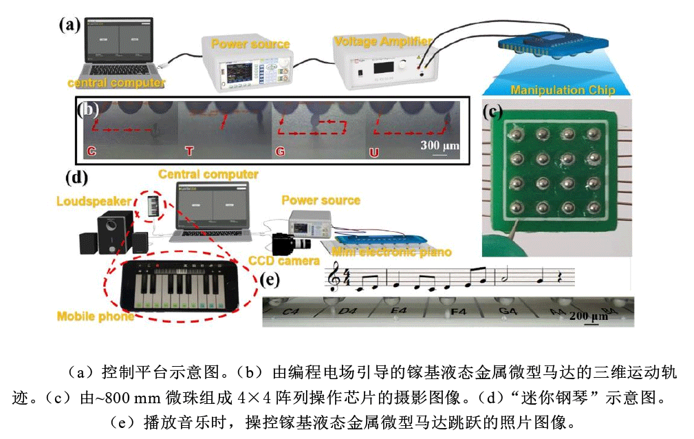 高壓放大器實驗平臺.png 高壓放大器實驗平臺.png