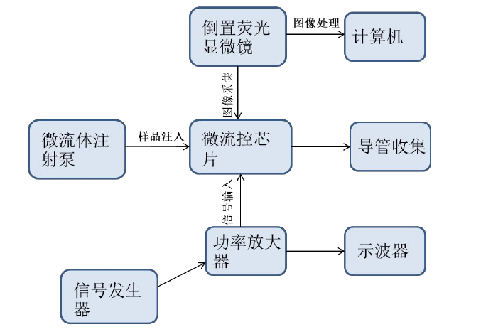 實驗框圖 實驗框圖