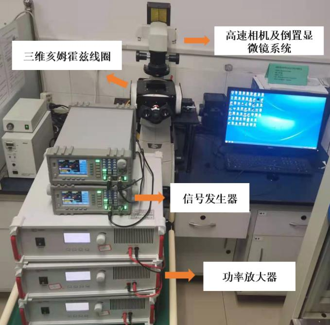 高壓放大器實驗平臺.png 高壓放大器實驗平臺.png