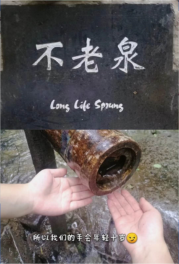 10.png 10.png